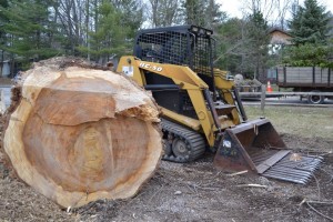 Stump Removal Traverse City, Michigan
